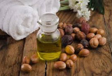  Ini Manfaat Argan Oil yang Dapat Mengatasi Masalah Rambut Kering Hingga Rambut Bercabang, Para Cewek Wajib Pu