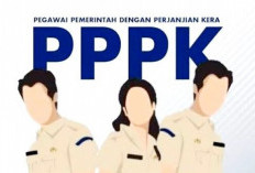 1.116 Peserta PPPK Ikuti Test CAT di Hotel Merah Putih 12-14  Mei 2025