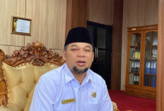 Harga Sawit Turun Tipis, Petani Minta PKS Tak Main Curang