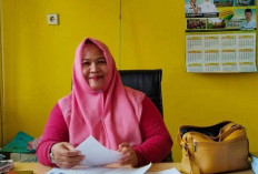 Mukomuko Dapat Jatah Hewan Kurban Presiden Prabowo, Sapi 1,3 Ton 