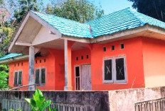 Desa Tanjung Aur Rehab Gedung Karang Taruna, Ini Penjelasannya