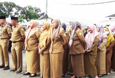 Pemprov Bengkulu Siap Naikkan TPP dan Insentif untuk ASN