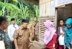 Wabup  Tinjau Dua Rumah Tak Layak Huni di Seluma