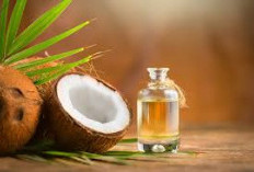 Tak Perlu Beli Diluar, Ini Cara Membuat Minyak Kelapa Sendiri di Rumah