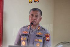 Diusut, Viral Pencabutan Pohon Kelapa di Pantai Panjang