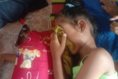 Bantuan Untuk Bunga Adelia Terus Mengalir