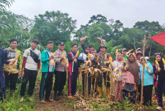 Desa Air Long Panen Jagung Ketahanan Pangan