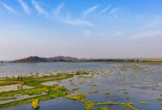 5 Fakta Unik Danau Loktak di Manipur India, yang Disebut dengan Danau Terapung. Pernah Kesini?