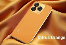 Keunggulan Nubia V70, HP dengan Desain Menarik dan Dibekali Modul Kamera Mirip Iphone 16 Pro, Harga 1 jutaan