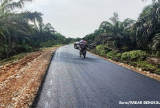 Jalan Danau Nibung - SP7 Rawa Mulya - Lubuk Sanai 