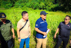 Provinsi Bengkulu akan Bangun Kantor Penghubung di Pulau Enggano