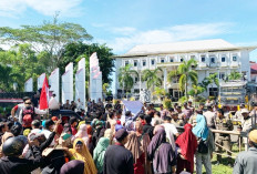 Didemo Warga, Kades Dusun Baru Seluma Diberhentikan Sementara