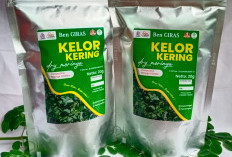 Manfaatkan KUR BRI, Pengusaha Wanita Ini Berhasil Sulap Kelor Jadi Aneka Olahan Pangan yang Digemari