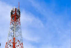 FiberStar Perkuat Pemerataan Internet 3T dengan Kombinasi Fiber Optic–Starlink