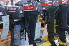 Dinas Perikanan Kabupaten Kaur akan berikan bantuan 10 mesin tempel kepada 10 kelompok nelayan.
