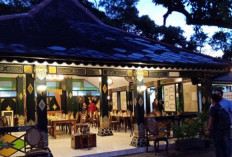 5 Tempat Dinner Berikut yang Tidak Boleh Dilewatkan di Jogja, Mulai dari Menu Tradisional Hingga Western 