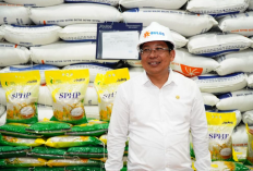Bantuan Pangan Beras untuk 18,2 Juta Penerim di Indonesia Siap Disalurkan Bulog