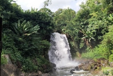 Indahnya Air Terjun Tirta Mandiri di Kebun Teh Kabawetan Kepahiang