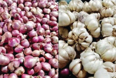 Harga Bawang Naik di Pasar Panorama, Pembeli dan Penjual Mengeluh