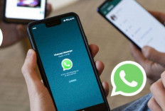 Menolak Pesan WhatsApp Tanpa Harus Memblokir Nomor, Emang Bisa? Berikut 3 Tips Caranya dan Terlihat Offline!