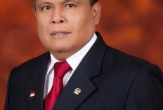 Kisruh Uang Transportasi KPPS di Kota Bengkulu, Senator: Harusnya Diserahkan 