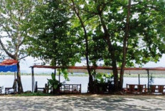 Dispar Bengkulu Wajibkan Pedagang Pasang Tarif Menu