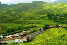 Sejuk Dan Nyaman, Berikut Ini 6 Rekomendasi Tempat Liburan Dingin di Indonesia, Pilihan Tepat Liburan 