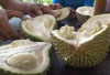 Enak Banget! Berikut 5 Olahan Durian Khas Wonosalam Jambang yang Wajib Dicobain