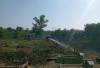 Satu Hektar Lahan Pemakaman Umum Terbakar