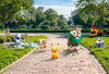 Libur Panjang Ga Ke Mana-Mana? Seru-Seruan di Pikachu's Indonesia Journey dan Pokémon GO Fest, Yuk!