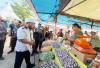 APBD Rp 670 Juta untuk Festival Tabut 2025: Pentas Meriah, 250 Tenant UMKM, dan 35 Stand Gratis