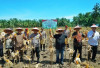 Perkuat Ketahanan Pangan, Bengkulu Panen 3.320 Ton Jagung