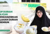 Enaknya Sop Durian Aa Ican, Olahan Durian Premium Khas Tangerang yang Wajib Dicoba Bersama Teman atau Keluarga