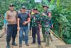 Kepala Desa Tanjung Aur dan Warga Kompak Memperbaiki Jembatan Rusak dengan Swadaya 