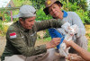 Stok Vaksin Hewan Penular Rabies Habis