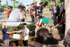 Polres Bagikan 492 Kantong Kurban