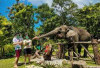 Gembira Loka Zoo, Tempat Wisata Terkenal di Jogja yang Menawarkan Banyak Pertunjukkan Satwa Menarik