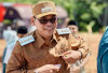 Bupati Seluma Kukuhkan Brigade Pangan di Tiga Kecamatan