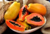 Ternyata Makanan Ini Tidak Boleh Dikonsumsi Bersamaan Dengan Buah Pepaya, Termasuk Makanan Berprotein Kenapa Y