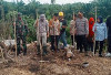 Dukung Ketahanan Pangan, Pemdes Ketaping Tanam Jagung